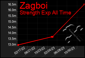 Total Graph of Zagboi