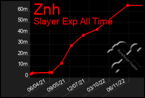 Total Graph of Znh