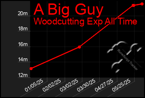 Total Graph of A Big Guy