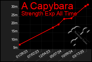 Total Graph of A Capybara