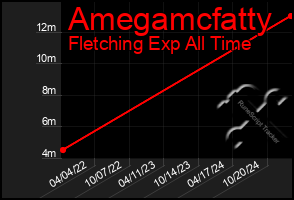 Total Graph of Amegamcfatty