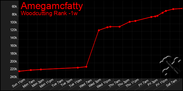 Last 7 Days Graph of Amegamcfatty