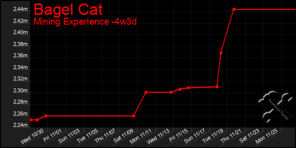 Last 31 Days Graph of Bagel Cat