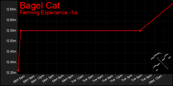 Last 7 Days Graph of Bagel Cat