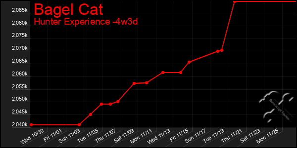 Last 31 Days Graph of Bagel Cat