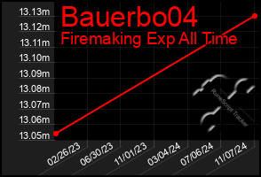 Total Graph of Bauerbo04