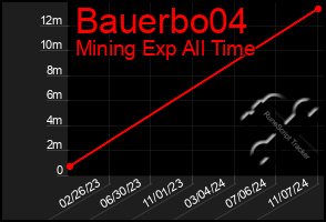 Total Graph of Bauerbo04