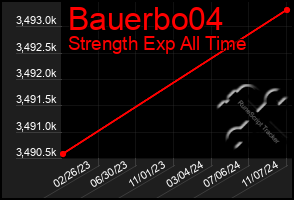 Total Graph of Bauerbo04