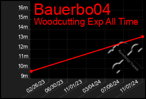 Total Graph of Bauerbo04