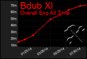 Total Graph of Bdub Xl