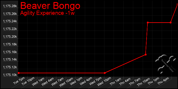 Last 7 Days Graph of Beaver Bongo