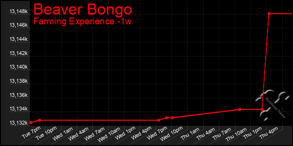 Last 7 Days Graph of Beaver Bongo
