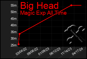 Total Graph of Big Head