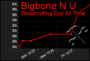 Total Graph of Bigbone N U