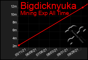 Total Graph of Bigdicknyuka