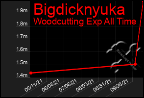 Total Graph of Bigdicknyuka