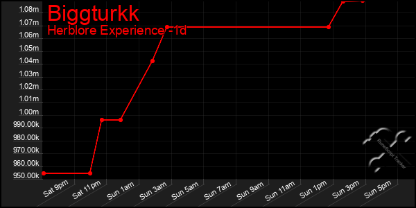 Last 24 Hours Graph of Biggturkk