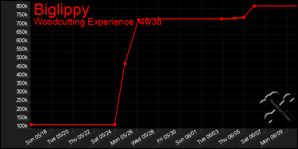 Last 31 Days Graph of Biglippy