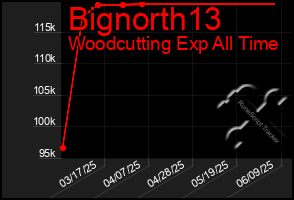Total Graph of Bignorth13
