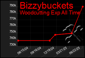 Total Graph of Bizzybuckets