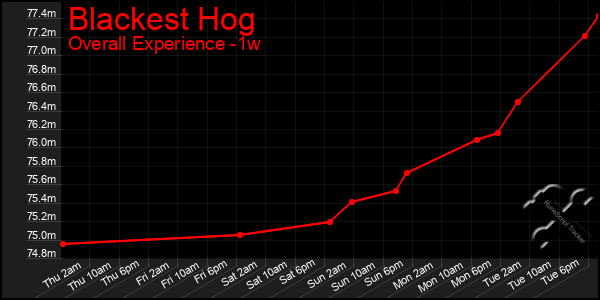 Last 7 Days Graph of Blackest Hog