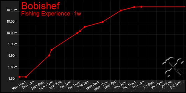 Last 7 Days Graph of Bobishef