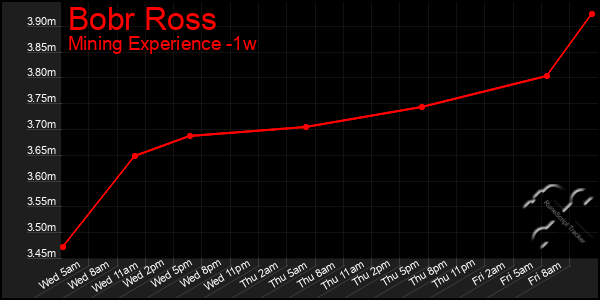 Last 7 Days Graph of Bobr Ross