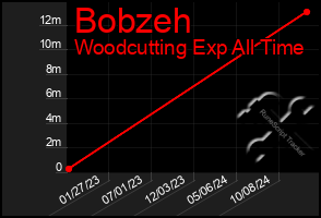 Total Graph of Bobzeh