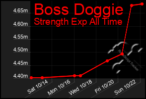 Total Graph of Boss Doggie