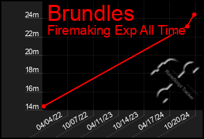 Total Graph of Brundles