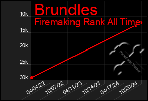 Total Graph of Brundles