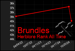 Total Graph of Brundles