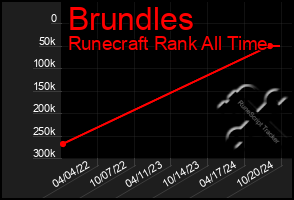 Total Graph of Brundles