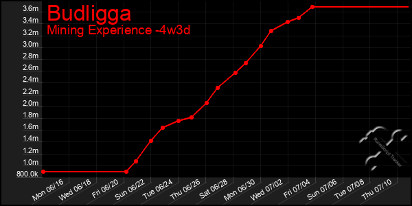 Last 31 Days Graph of Budligga