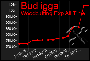 Total Graph of Budligga