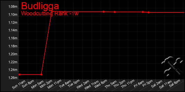 Last 7 Days Graph of Budligga