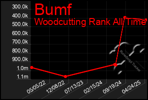Total Graph of Bumf