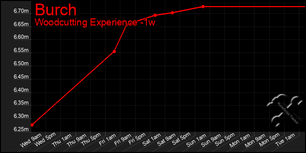 Last 7 Days Graph of Burch