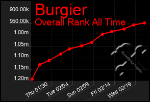 Total Graph of Burgier