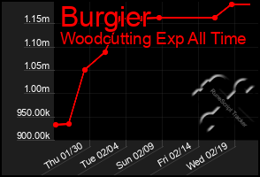 Total Graph of Burgier