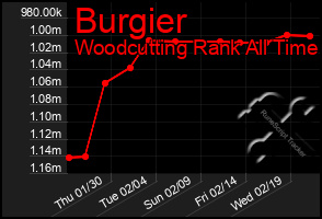 Total Graph of Burgier