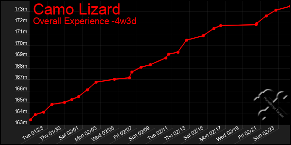 Last 31 Days Graph of Camo Lizard