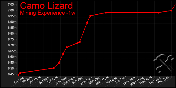 Last 7 Days Graph of Camo Lizard