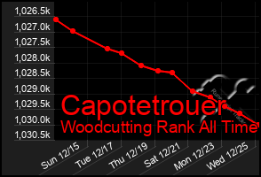 Total Graph of Capotetrouer