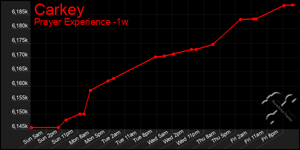 Last 7 Days Graph of Carkey