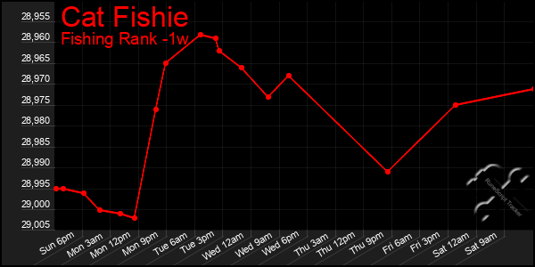 Last 7 Days Graph of Cat Fishie