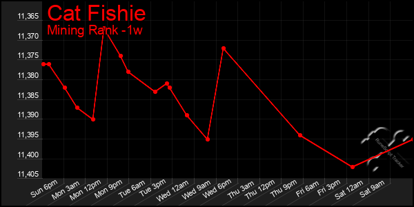 Last 7 Days Graph of Cat Fishie