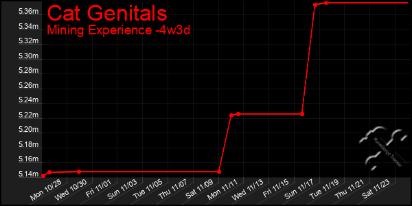 Last 31 Days Graph of Cat Genitals