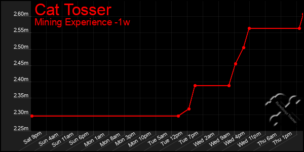 Last 7 Days Graph of Cat Tosser