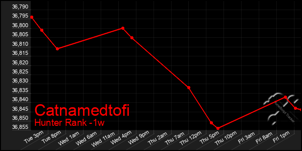 Last 7 Days Graph of Catnamedtofi